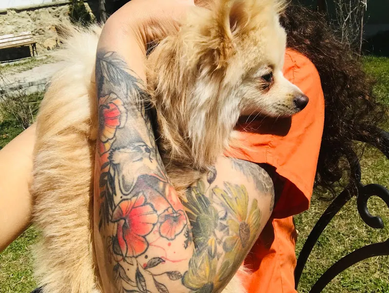 Van Edremit Doğa Pet Veteriner Kliniği ve Köpek Oteli foto 1