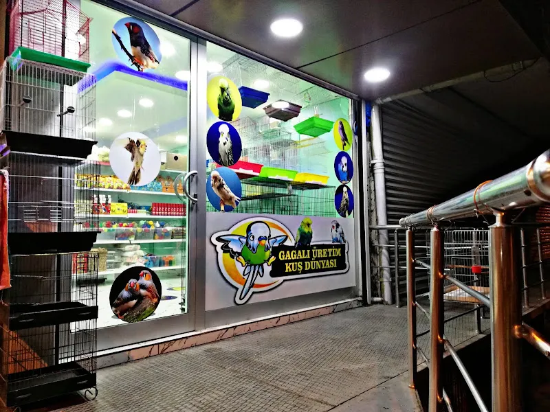 Gagalı Petshop foto 2