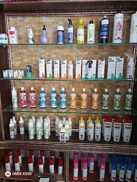 Tekirdağ Kedi Köpek Oteli & Köpek Eğitimi - Sultan Pet Shop foto 2