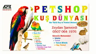 Pet Shop Kuş Dünyası