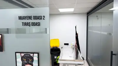 Antalya Merkez Veteriner Kliniği fotoğrafı