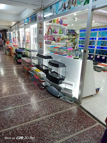 AFACAN PETSHOP foto 2