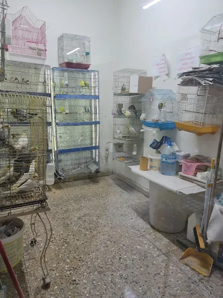 Doğan Akvaryum foto 2