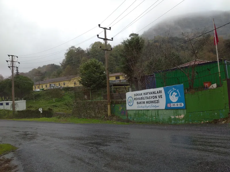 Gönülden Hayvan Sevenler Derneği foto 2