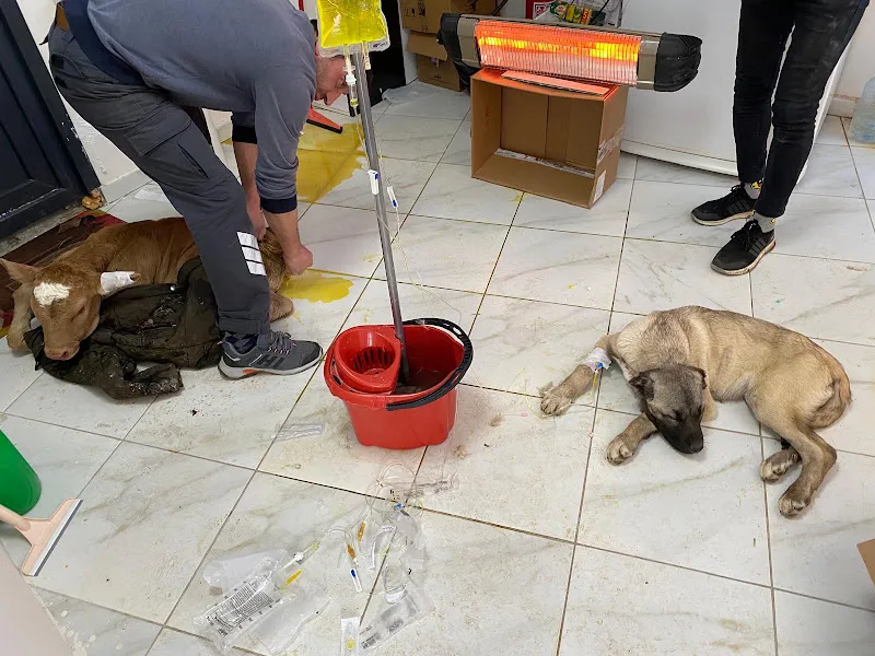 Gönül Veteriner Kliniği foto 2