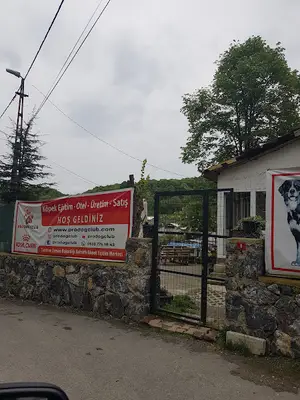 Pro Dog Club Köpek Eğitim Merkezi ve Köpek Oteli