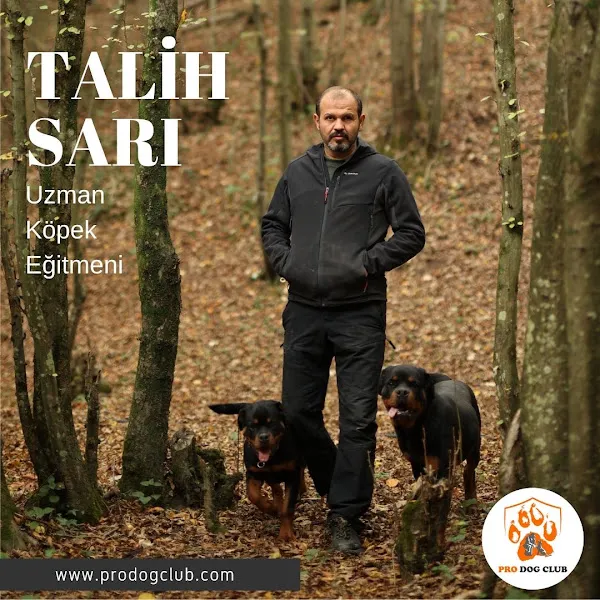 Pro Dog Club Köpek Eğitim Merkezi ve Köpek Oteli foto 2