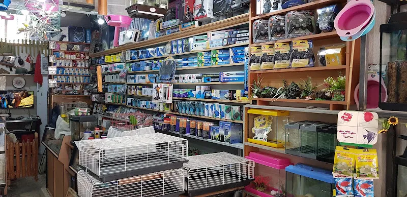 Niğde Sümelya petshop foto 2