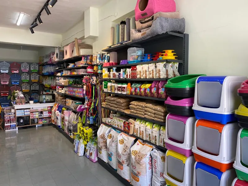 Pet House Bor foto 2