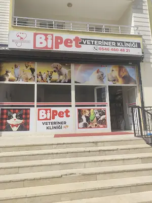 Bipet veteriner kliniği