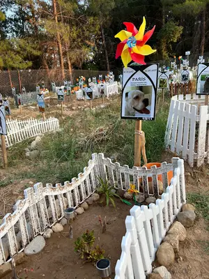Pet Mezarlığı Antalya - Dostluk Bahçesi fotoğrafı