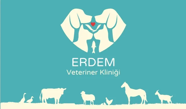 Elmadağ Erdem Veteriner Kliniği foto 2