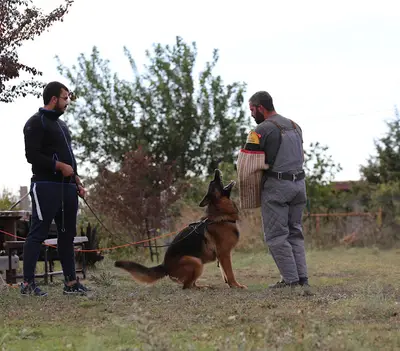 Von Grenzland Köpek Eğitim Okulu