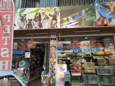 Avrasya Pet Shop