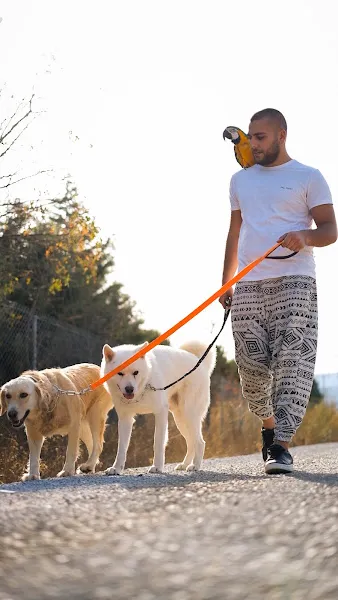 PetViora Köpek Eğitim Ve Konaklama Merkezi foto 2