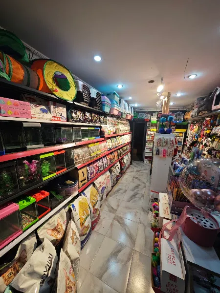 STORE PET SHOP 2 SOKULLU ŞUBE foto 2
