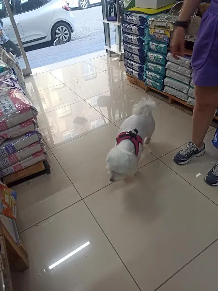 ASYA PETSHOP foto 2