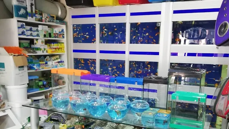 Petshop14 foto 2