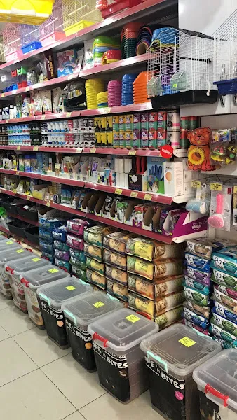 Çorum Miya Patili Köşk Petshop, Pet Kuaför, Pet Otel foto 2