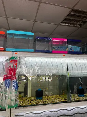 Emre Petshop & Akvaryum