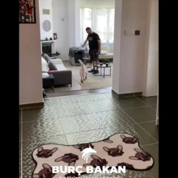 Burç Bakan - Profesyonel Köpek Eğitmeni foto 2