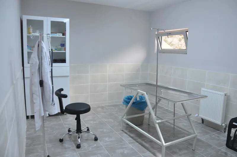 Artvin Hayvan Bakımevi ve Rehabilitasyon Merkezi foto 1