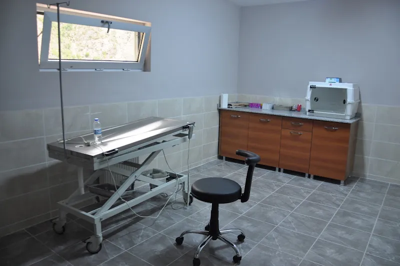 Artvin Hayvan Bakımevi ve Rehabilitasyon Merkezi foto 2