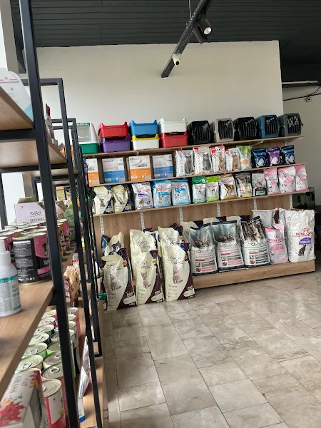 Rika Pet Shop - Pet Otel - Pet Kuaför foto 2