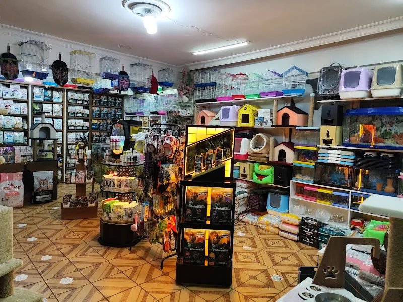 Ada Petshop Ninova foto 2