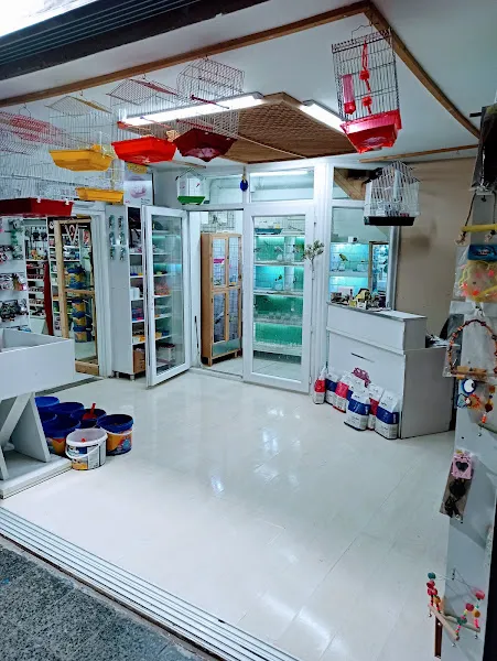 Ateş Akvaryum Pet Shop foto 1
