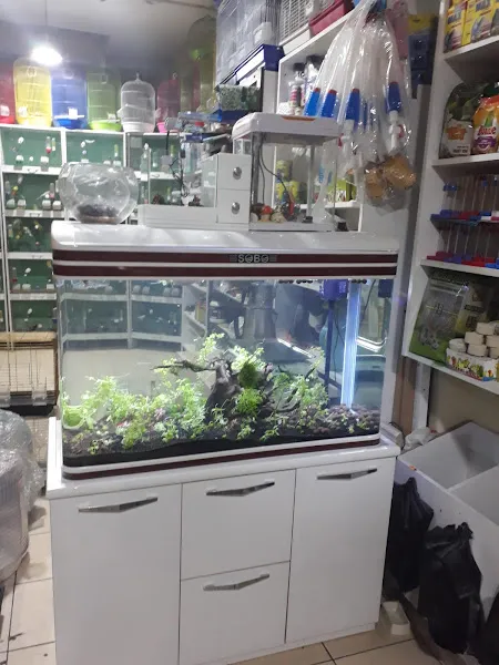 ERAY AKVARYUM&PETSHOP foto 2