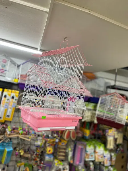 Özdemir PetShop foto 2