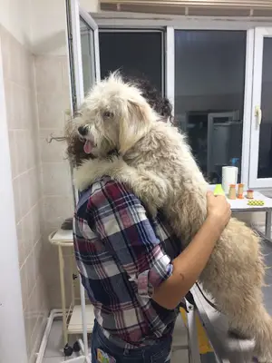 Hayat Veteriner Kliniği fotoğrafı