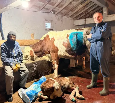 Çakıroğulları Veteriner Kliniği