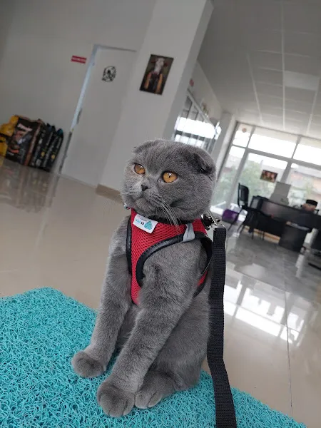 Bahar Veteriner Kliniği foto 1