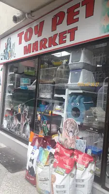 Toy Pet Market