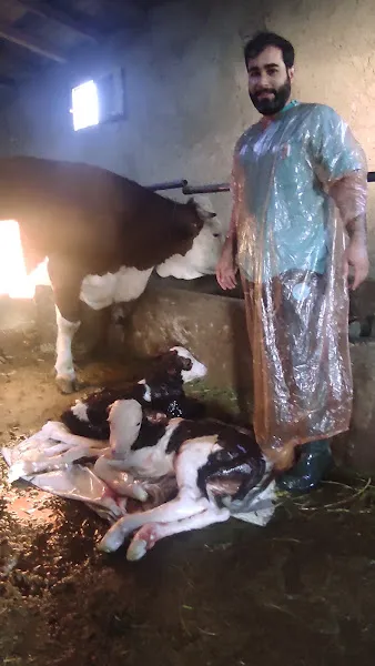 İsa Veteriner Kliniği foto 2