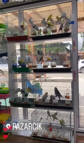 MAVİ PET&SHOP foto 2