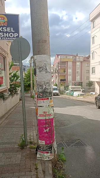 Yüksel petşop foto 1