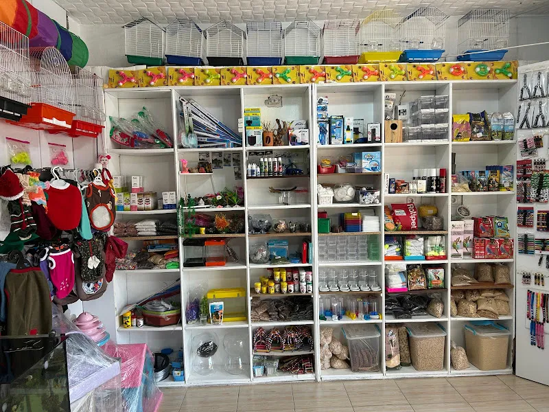 Tarsus Puppy Petshop foto 2