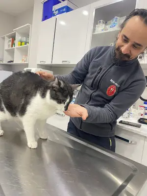 Deniz Veteriner kliniği