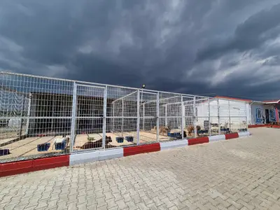 Muratlı Hayvan Barınağı fotoğrafı