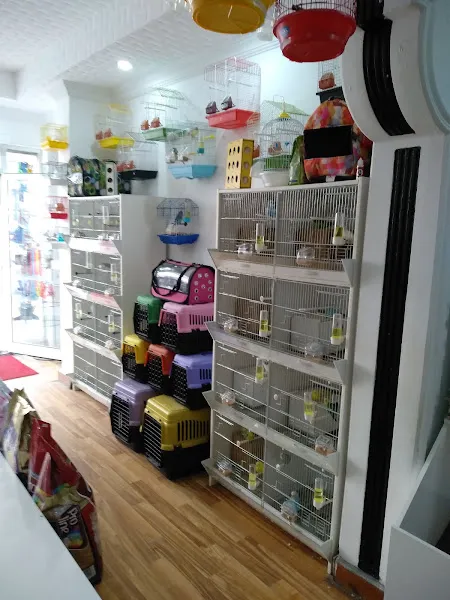 Rüyam PetShop foto 2