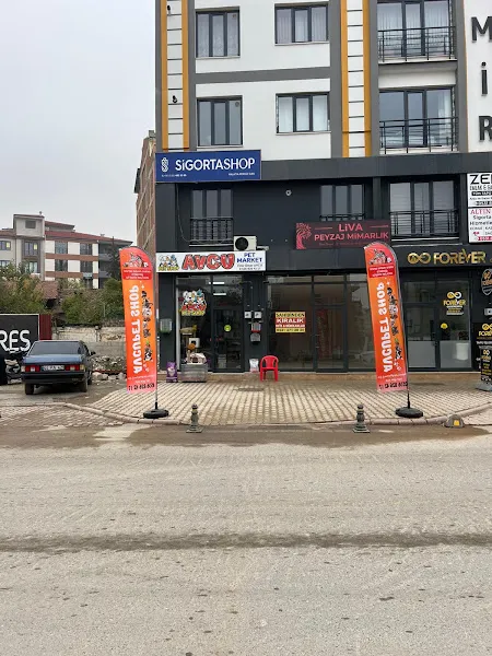Malatya avcu pet shop foto 1