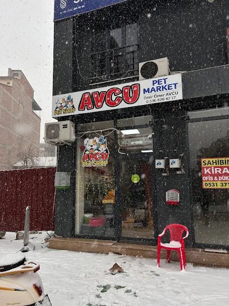 Malatya avcu pet shop foto 2