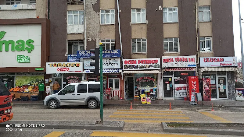 Acun petshop foto 1