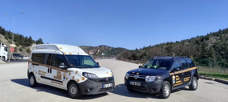PET TAXİ foto 1