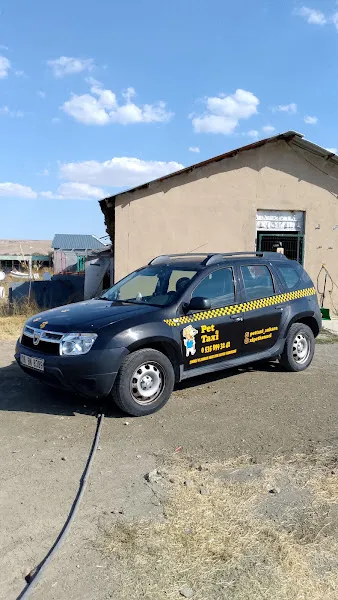 PET TAXİ foto 2