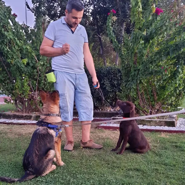 GÖKAY POZİTİF KÖPEK EĞİTİM MERKEZİ foto 2