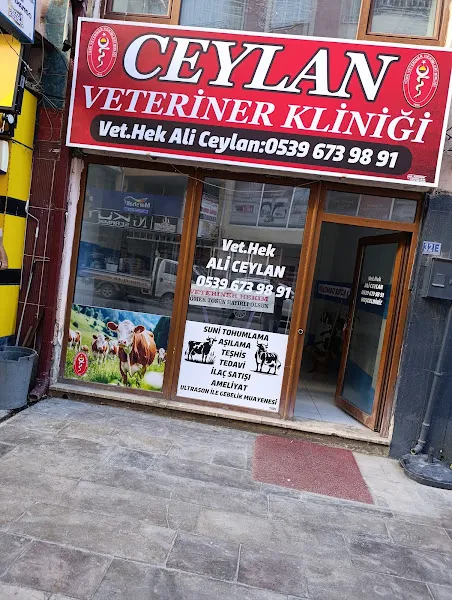 Ceylan Veteriner Kliniğini Veteriner Hekimi Ali Ceylan foto 2